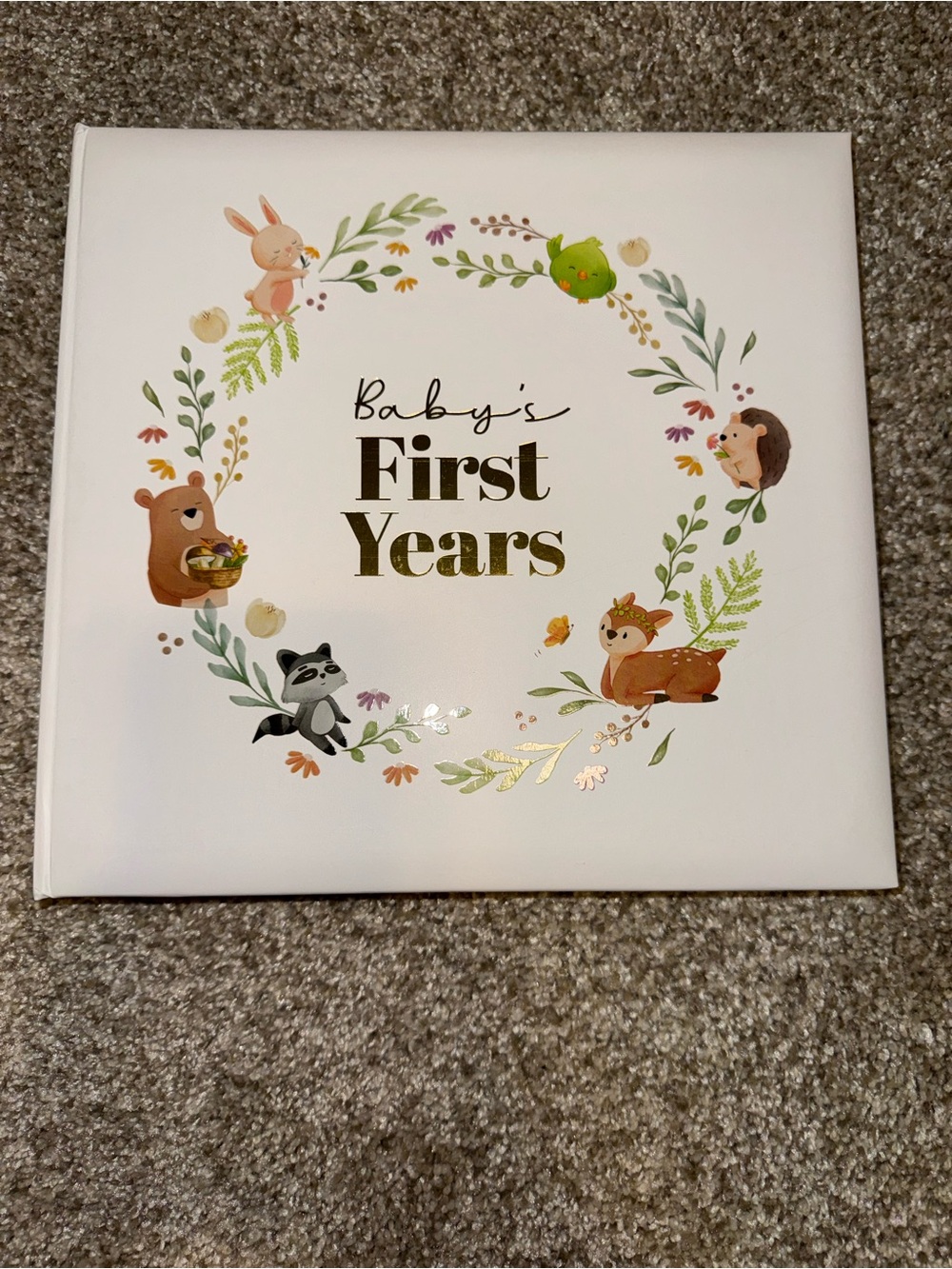 Baby's First Years Baby Book